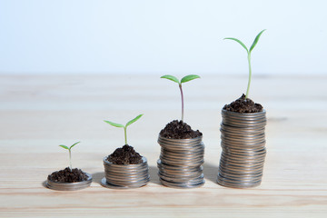 Idea money growing concept. Business success concept. Trees growing on pile of coins money