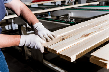 Wall Mural - Carpenter with fibreboards at furniture factory workshop. Woodworking industry