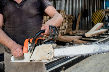 Wall Mural - Woodcutter cutting tree with chainsaw on sawmill. Modern sawmill. Industry sawing boards from logs.