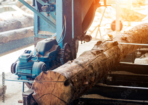 Modern sawmill. Industry sawing boards from logs Poster Mural XXL