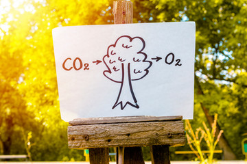 conversion of carbon dioxide by trees to oxygen