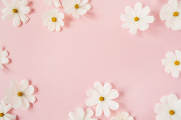 minimal styled concept. white daisy chamomile flowers on pale pink background. creative lifestyle, s