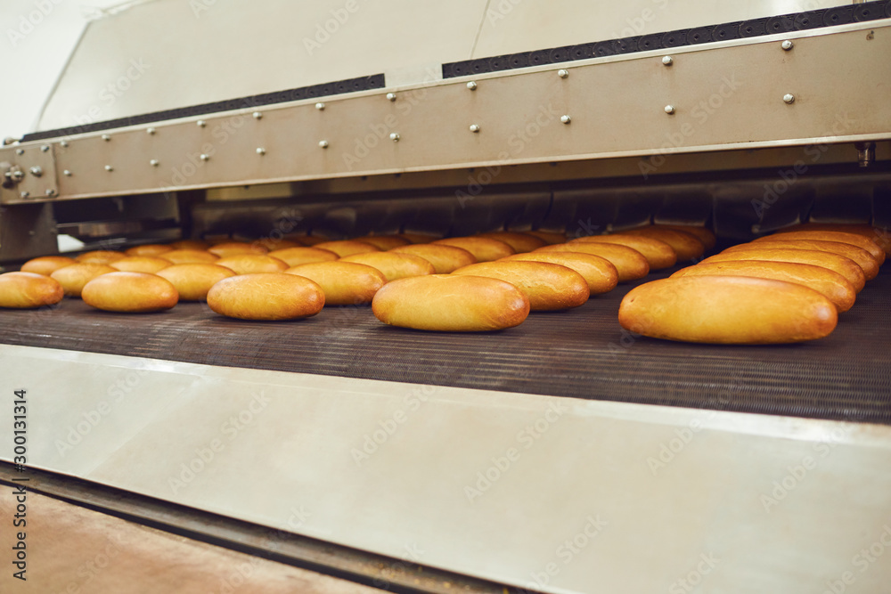 Automatic bakery production line with bread in bakery factory - obrazy, fototapety, plakaty 