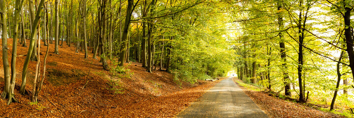  Herbst im Münsterland
