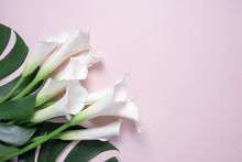 Bouquet  Of White Calla Lilies And Monstera Leafs On Pink Background With Copy Space, Top View