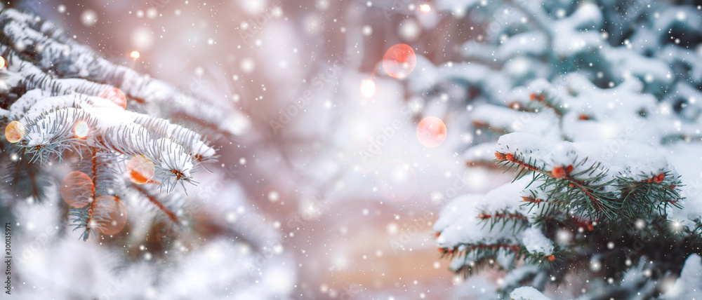 Obraz na płótnie Frosty winter landscape in snowy forest. Christmas background with fir trees and blurred background of winter. w salonie