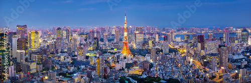Fotomural Cityscape of Tokyo skyline, panorama aerial skyscrapers view of office building and downtown in Tokyo in the evening