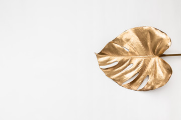 Gold monstera leaf on white background