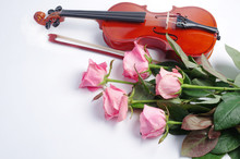 Violin With A Bow And Five Pink Roses On White. Free Space For Your Text.