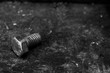 © Éverton Lisbôa - a steel screw on a wooden table
