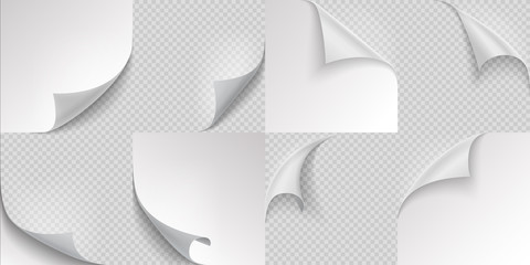 Aufkleber - Curled page corners. Flipped and turning paper leaf set on transparent background. Vector folded or turn-up book white page like effect curling peel or labe