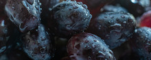 Close Up Macro Of Blue Fresh Organic Grapes With The Water Drops On It