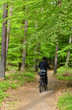 Radfahrerin im Darßer Urwald