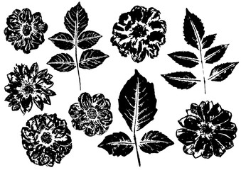 Wall Mural - black stamped dahlia leaves and flowers