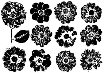 Wall Mural - set of ink prints of dahlia flowers