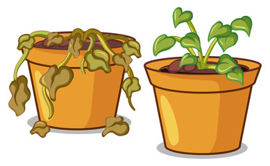 Sticker - Two potted plants on white background