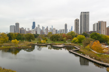 Wall Mural - Chicago downtown buildings skyline fall foliage aerial drone