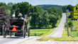 Amish Open Horse and Buggy with 2 Amish Adults in it trotting down the Hill on a Sunny Day