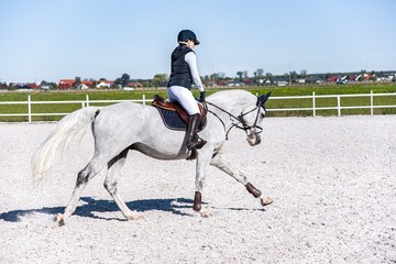 Horse riding . Young girl riding a horse . Equestrian sport in details. Sport horse and rider on gallop