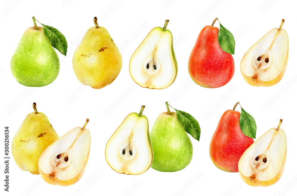 Pear fruit set watercolor isolated on white background - obrazy, fototapety, plakaty 