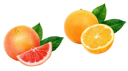 Canvas Print - Orange grapefruit set composition watercolor isolated on white background