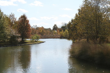 Wall Mural - From Picnic Island Forest Park Fall 2019 I