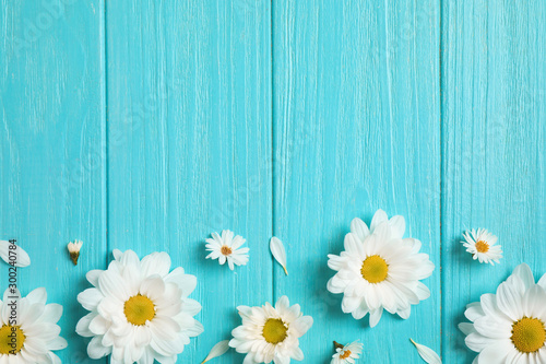 Fototapety Rumianek  piekne-kwiaty-rumianku-na-jasnoniebieskim-tle-drewnianych-desek