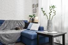 Bright Living Room In Scandinavian Style