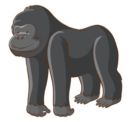 Canvas Print - Cute gorilla on white background