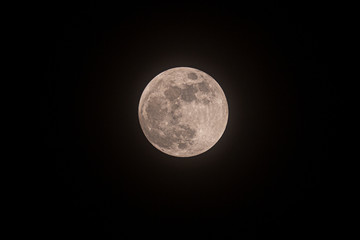 Wall Mural - The Moon