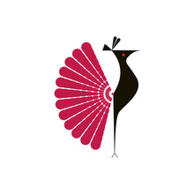 Logo Peacock Abstract Color Design Template