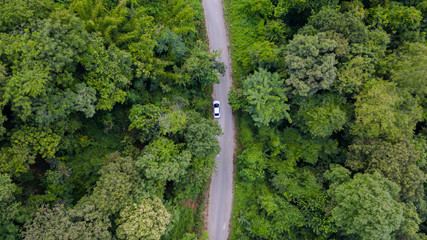 Canvas Print - Aerial top view car driving through the forest on country road, view from drone