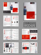 Twelve Pages Modern Multi-Purpose Brochure Set.