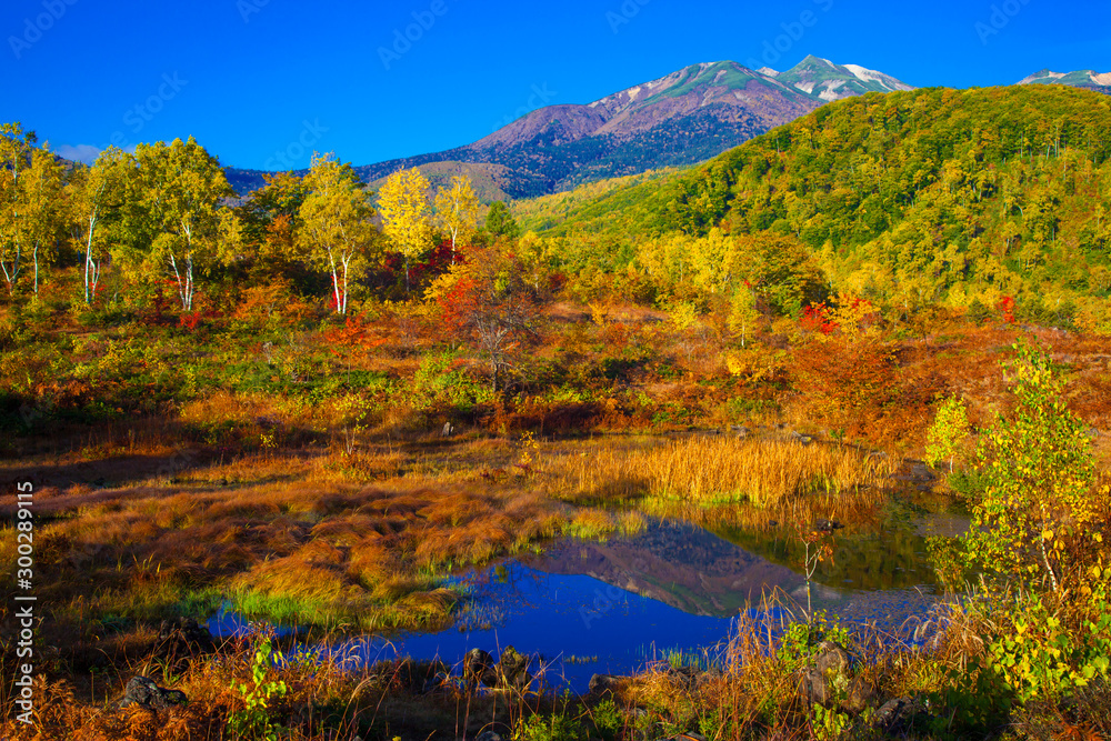 紅葉の乗鞍高原の一ノ瀬園地 日本 と乗鞍岳 偲ぶの池に乗鞍岳の映り込みの水鏡 Las Naklejki Ecowall24 Pl 紅葉の乗鞍高原の一ノ瀬園地 日本 と乗鞍岳 偲ぶの池に乗鞍岳の映り込みの水鏡 Las Naklejki Ecowall24 Pl