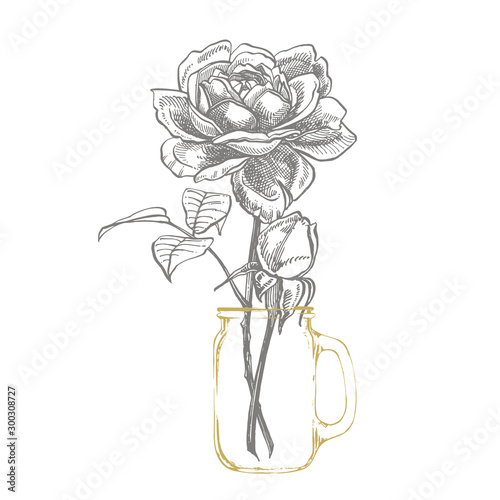 Roses. Hand drawn flower set illustrations. Botanical plant illustration. Vin...