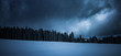 canvas print picture - Verschneiter Tannenbäume im Winter an Weihanchten