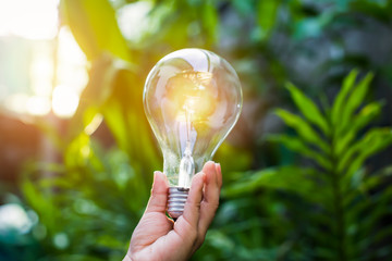 hand holding light bulb against nature, icons energy sources for renewable,