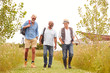 © Monkey Business - Group Of Mature Male Friends Walking Along Path Through Yurt Campsite