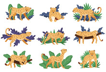 Spotted Leopard And Tropical Greenery Vector Illustrations Set