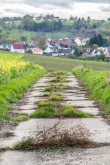 Canvas Print - Feldweg