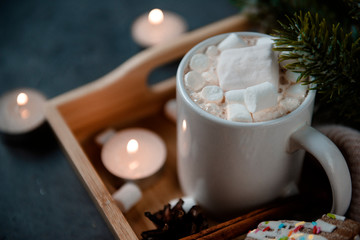 1 Cup hot chocolate cocoa with marshmallows, fir branch, candles on dark