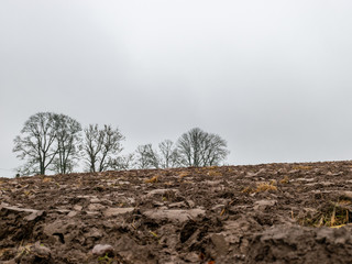 Wall Mural - mist landscape with blurred plowed field in the foreground and bare tree silhouettes in the background, rainy and misty autumn day