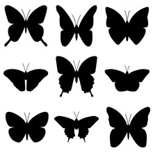 Butterfly Icon, Logo Isolated On White Background