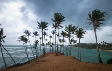 The Cloudy sky at the Coconut hill, It’s located at the Mirissa, Sri Lanka.