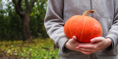 pumpkin (ripe orange fruit, harvest) concept. food background. copy space. top view