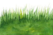 Abstract Green Like Grass Watercolor Textured Background On A White Isolated Background