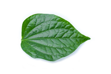Wall Mural - green leaf isolated on white background