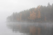 © Juhku - Lake scape and opposite shore forest at dawn