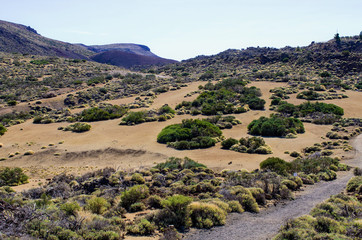 Canvas Print - Volcanic view on Tenerife island, Spain