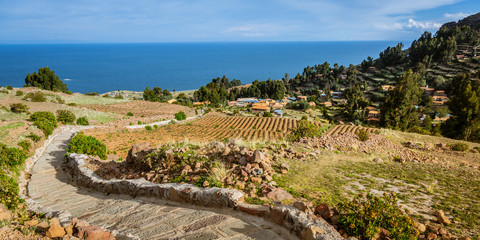 Wall Mural - AMANTANI ISLAND, PUNO, PERU: Plowed field on Amantani Island with the Titicaca lake in the background.